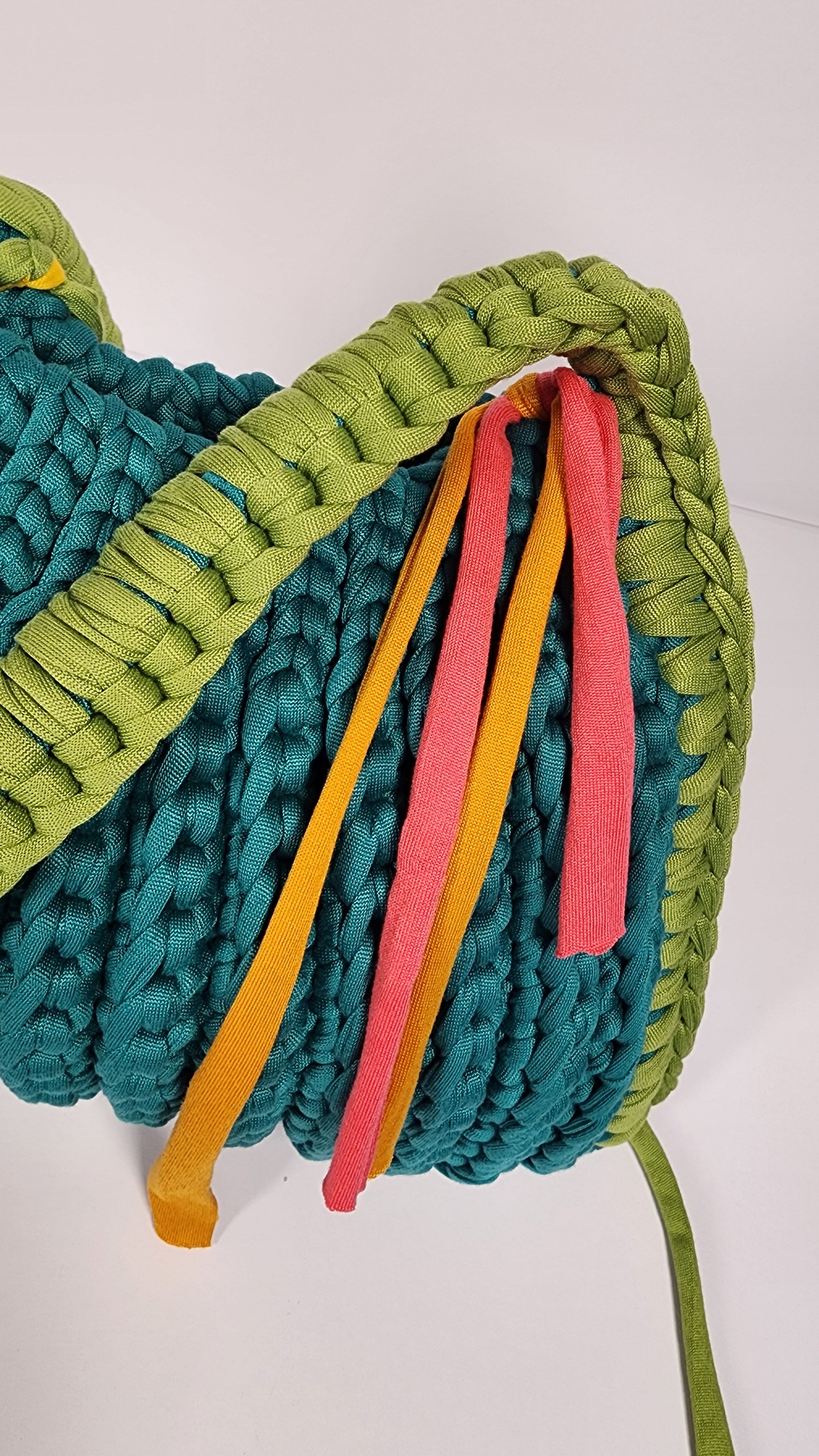 Dingolay Petite